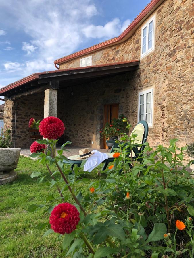 Vut Rural - Boente